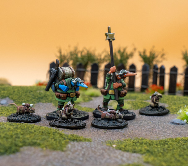 Clash of Rhyfles: Crusader Command Specialists