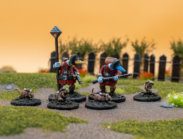 Clash of Rhyfles: Gwynt Command Specialists