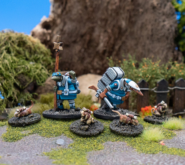 Clash of Rhyfles: Toulmore Command Specialists