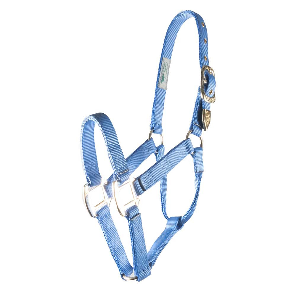 Large Horse Halters