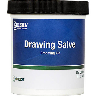 Drawing Salve