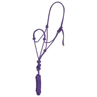 Rope Halter with Lead