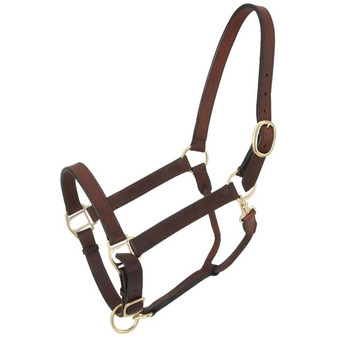 ROYAL KING CHURCHILL STABLE HALTER WITH SNAP