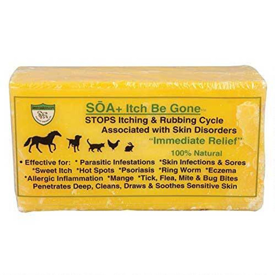 Itch Be Gone Soap