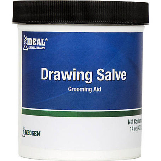 Drawing Salve