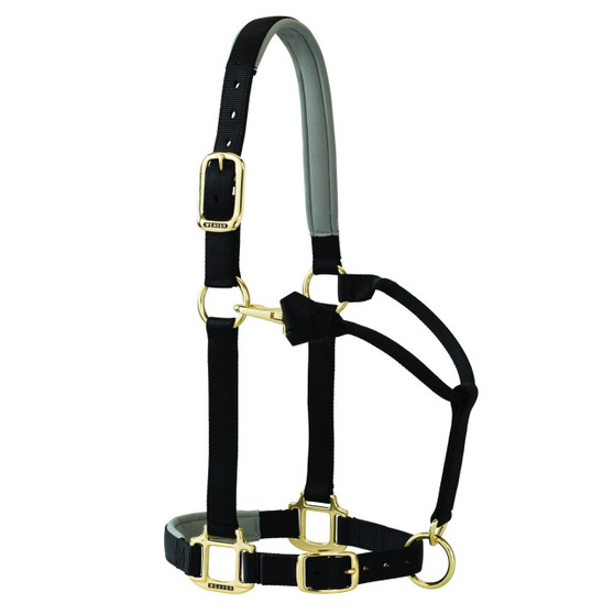 Tough 1 Padded Halter