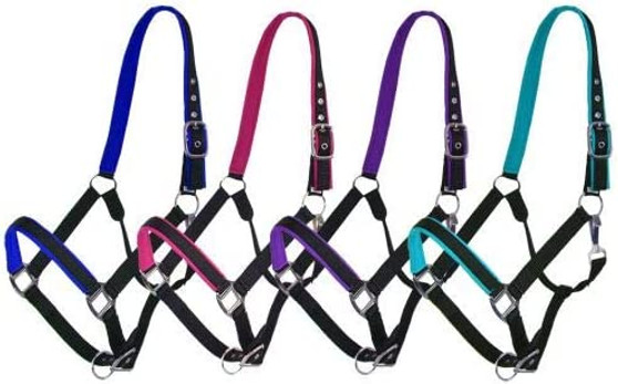 Padded Halter