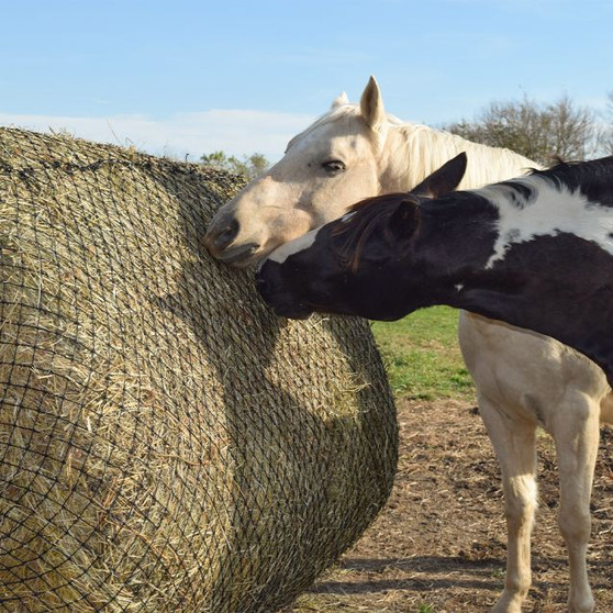 Round Bale Net