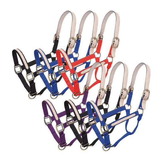 Nylon Breakaway Halter