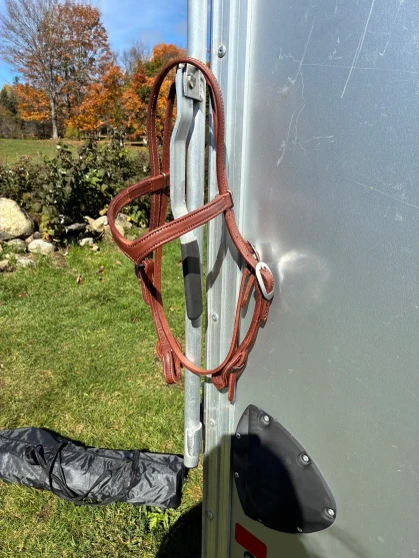 Quick change plain amish headstall