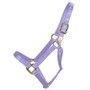 Large Horse Halters