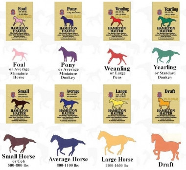 Licou Hamilton Pour Cheval - Taille Large (Large) - Rose Vif - Neuf Avec étiquettes