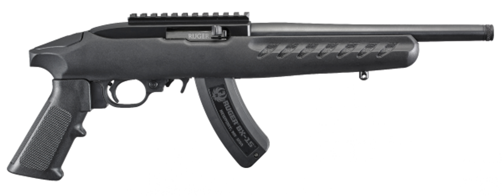 Ruger Charger 22lr Bl/sy 15+1 Tb