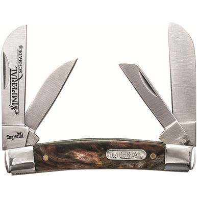 Imperial Amber Congress