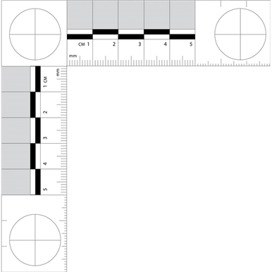 Forensic Scale 105mm x 105mm