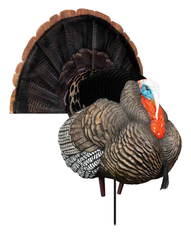 Higdon Decoys Xs, Higdon 63175 Tru Strut Xs Motion Trky Lit Bat/remo