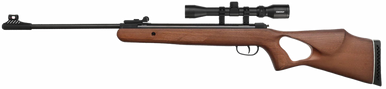 Bls Supply Diana, Bls 25003205 Diana Two-fifty Cal.5,5mm(.22) 24j Wd