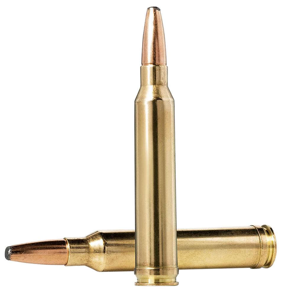 Norma Ammunition (ruag) Oryx, Norma 20170232  7mm    170gr Oryx            20/10