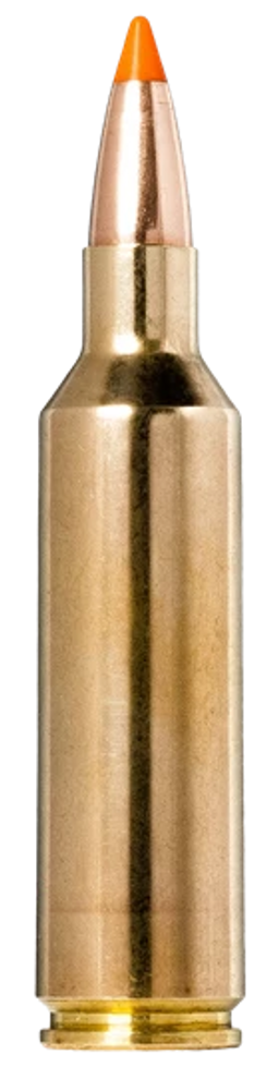 Norma Ammunition (ruag) , Norma 20169532  270wsm 140gr Tipstrike       20/10