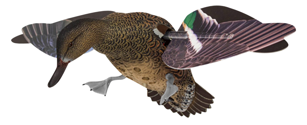 Avian X (gsm) Powerflight, Avian Avxpflht     Powerflight Hen Grnwinged Teal