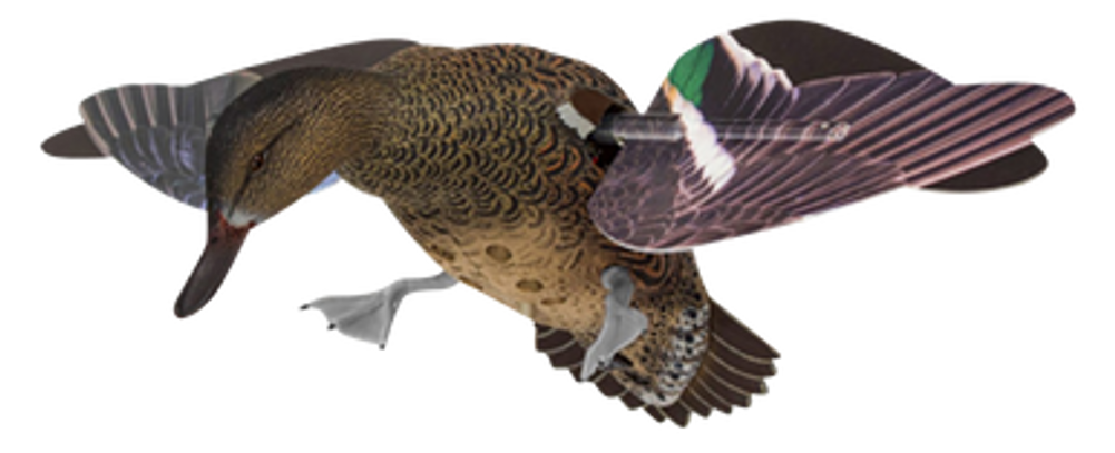 Avian X (gsm) Powerflight, Avian Avxpflht     Powerflight Hen Grnwinged Teal