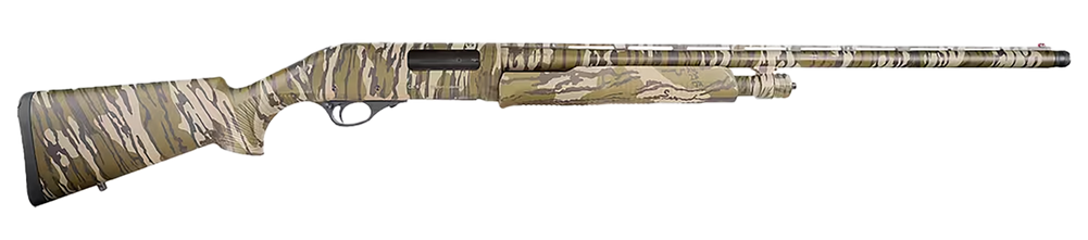 Cz , Cz 06534 612 Field Mag          12    28 4r Btmlnd