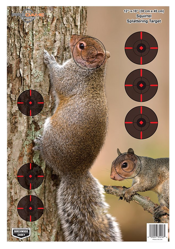 Birchwood Casey Pregame, Bir 35406          Pregame 12x18 Sqrl Reactive 8pk