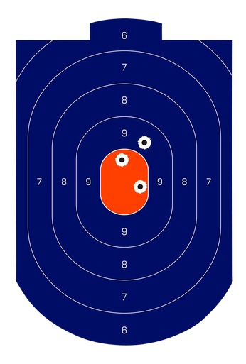 Birchwood Casey Dirty Bird, Bir 35714          Dirtybrd 12x18 Sil Blu/org 100p