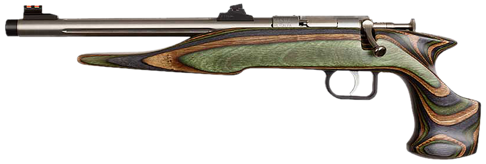 Chipmunk 41105 Hunter Adult 22 Mag 1rd 9" Threaded Stainless Steel Single Shot Barrel, Camo Laminate Stock