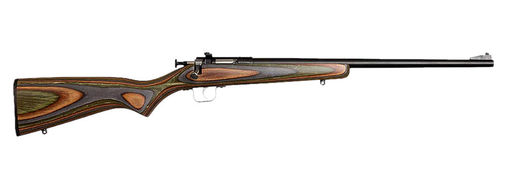 Chipmunk 00005 Gen2  22 LR 1rd 16.10" Blued Tapered Single Shot Barrel, Fixed Camo Laminate Stock