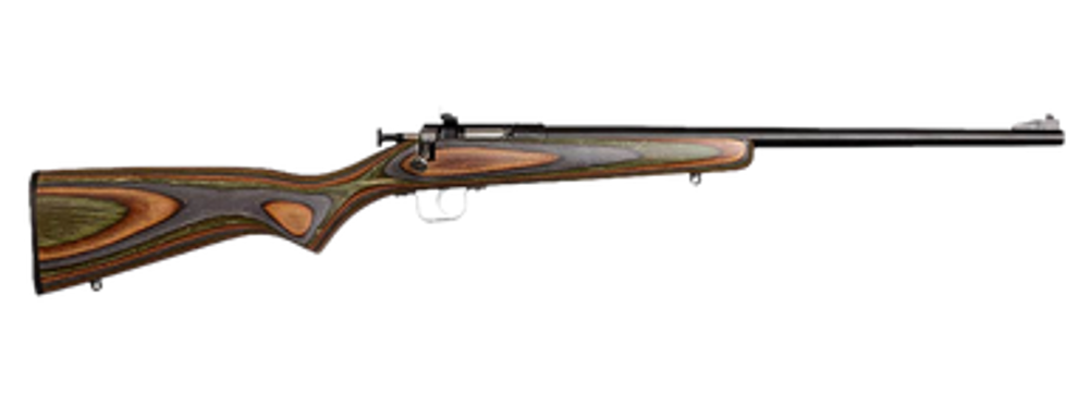 Chipmunk 00005 Gen2  22 LR 1rd 16.10" Blued Tapered Single Shot Barrel, Fixed Camo Laminate Stock