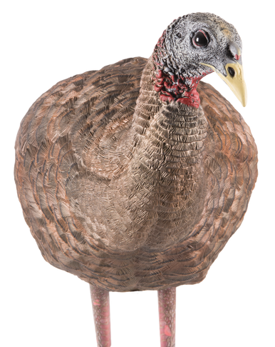 Avian X (gsm) Lcd, Avian Avxavx8008   Lcd Breeder Hen          Decoy