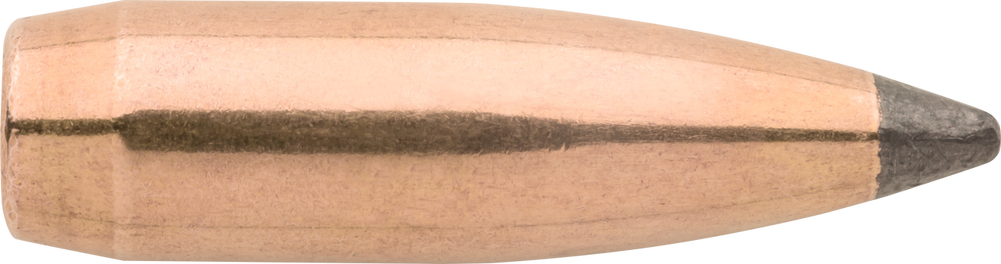 Sierra Gameking, Sierra 2610  .338 215 Sbt                   50