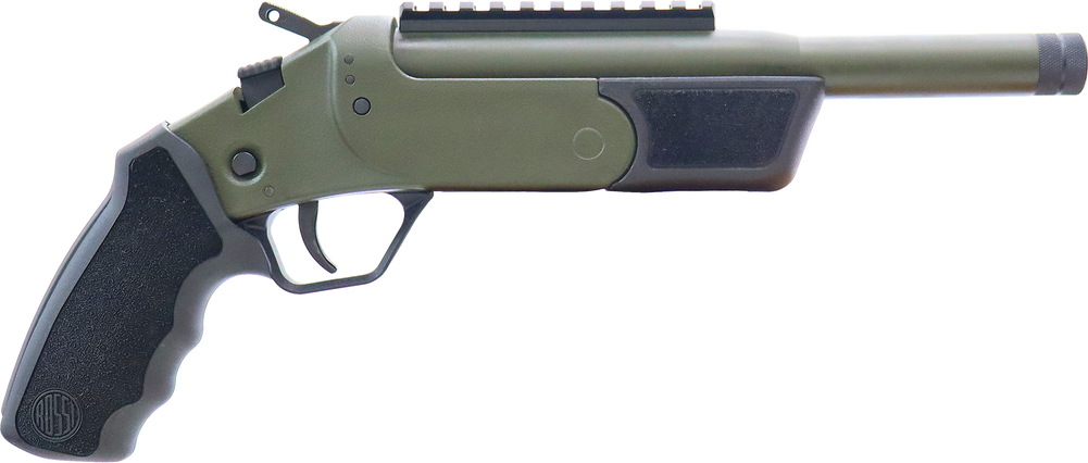 Rossi Brawler 300blk 9" Bl/odg - LIPBTSSPB9300-OD