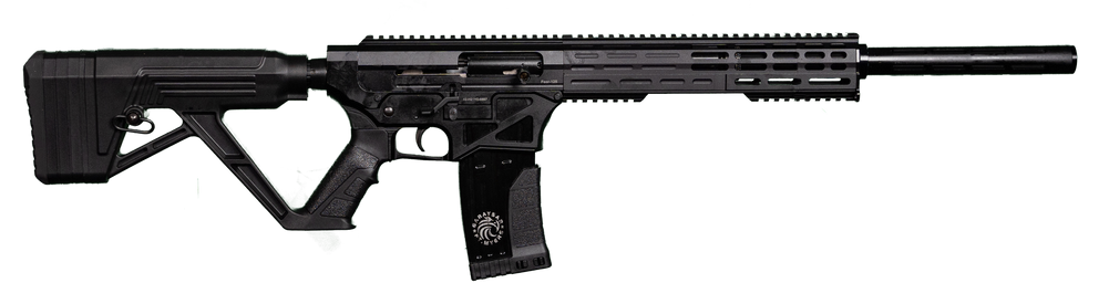 Garaysar Ft. Myers FEAR125 FEAR-125  AR-Style 12 Gauge 5+1 20" 4140 Steel Barrel, Overall Black Finish, Synthetic Stock & Polymer Grip Includes Hard Case & Magazines - 147532