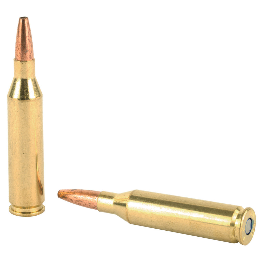 Dbltap 243win 85gr Schp 20/500