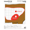 Champion Targets 45789 Animal 14 x 18 Targets, Deer Vitals, 12 Pack