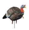 Higdon Decoys Hard Body, Higdon 63144 Hard Body 1/4 Strut Turkey Jake Decoy