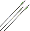 Allen Cx600, Allen 93120 Cx600 Crossbow Bolt 20in 3pk