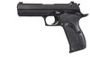 SIG SAUER P210 Carry 9mm Nit 4" 8+1 G10