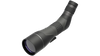 SX-2 Alpine HD Gen 2  20-60x80mm Angled
