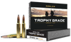 Nosler Trophy Grade, Nos 60134        33 Nos   250 Partition      20/10