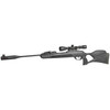 Gamo Swarm Magnum G3i .22 W/scp Blem