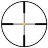 Trijicon Accupnt 1-4x24 Std Dplx Amb
