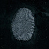 Indestructible White Fingerprint Powder 8 oz 237ml