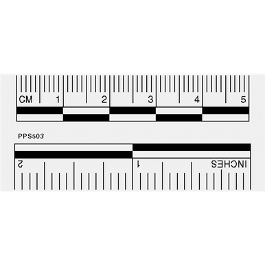 Photo Evidence Reference Scale Labels