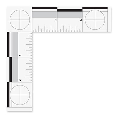 English Forensic Scale