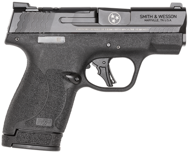 Smith and Wesson Shield Plus Optic Ready NTS 9mm 3.1" 13+1Tn