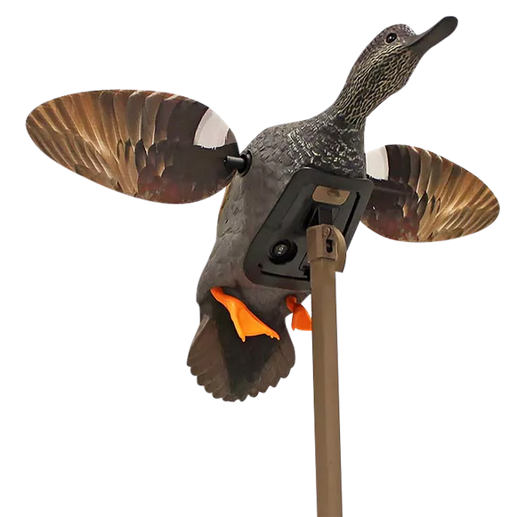 Mojo Elite Series, Mojo Hw2473-3p   Es Gadwall