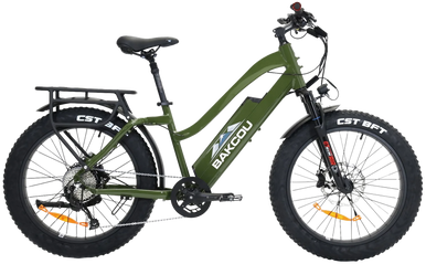 Bakcou E-bikes Flatlander, Bakcou B-fst24-g-b17 Flatlander St 21ah 24"  Green